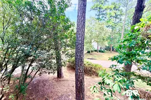 143 Bay Vw Dr, Daphne, AL 36526 - Photo 6