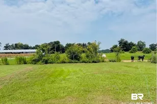22930 N County Road 62, Robertsdale, AL 36567 - Photo 28