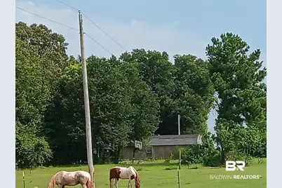 21379 Ima Brill Loop, Robertsdale, AL 36567 - Photo 6
