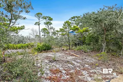 0 Zeanah Road, Gulf Shores, AL 36542 - Photo 6