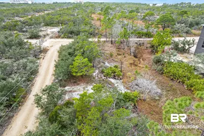 0 Zeanah Road, Gulf Shores, AL 36542 - Photo 8
