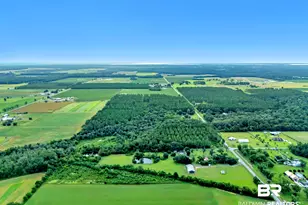 26943 Frank Rd, Elberta, AL 36530 - Photo 60