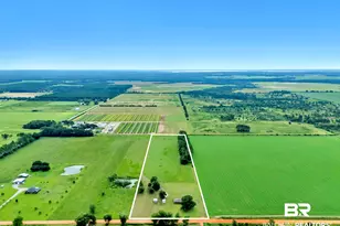 15850 Boros Rd, Elberta, AL 36530 - Photo 36