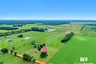 15850 Boros Rd, Elberta, AL 36530 - Photo 38