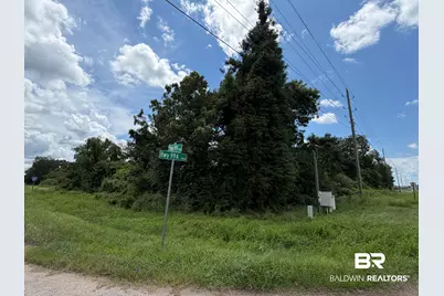 Lot 1 Highway 99 A, Walnut Hill, FL 32568 - Photo 1