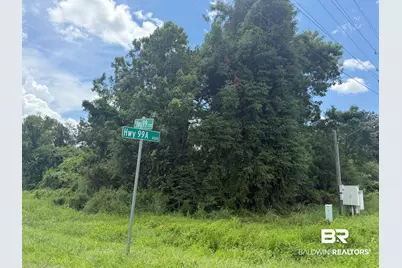 Lot 1 Highway 99 A, Walnut Hill, FL 32568 - Photo 8