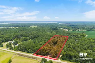 12449 Bay Rd, Foley, AL 36535 - Photo 10