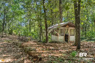 55849 Chesser Rd, Stockton, AL 36579 - Photo 12