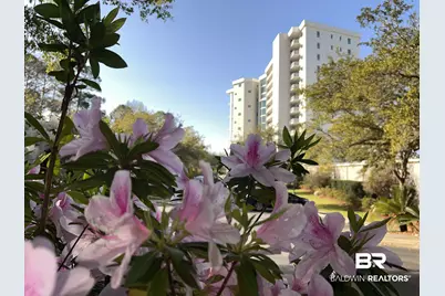 28250 Canal #504, Orange Beach, AL 36561 - Photo 2