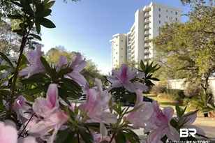 28250 Canal, Orange Beach, AL 36561 - Photo 2