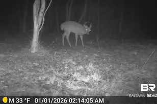 15758 Co Rd 87, Elberta, AL 36530 - Photo 72