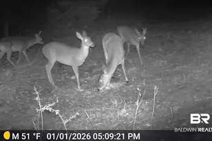 15758 Co Rd 87, Elberta, AL 36530 - Photo 74