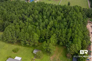 8217 Twin Beech Rd, Fairhope, AL 36532 - Photo 54
