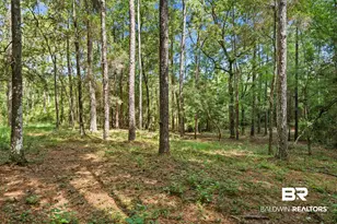 7165 Colonel Greirson Dr, Spanish Fort, AL 36527 - Photo 42