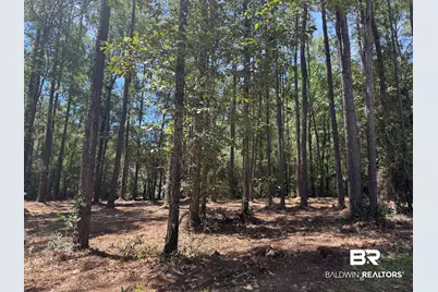 0 Bridgewood #Lot 6, Spanish Fort, AL 36527 - Photo 10
