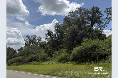 Lot 2 Highway 99, Walnut Hill, FL 32568 - Photo 4
