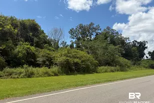 Lot 3 Hwy 99, Walnut Hill, FL 32568 - Photo 1