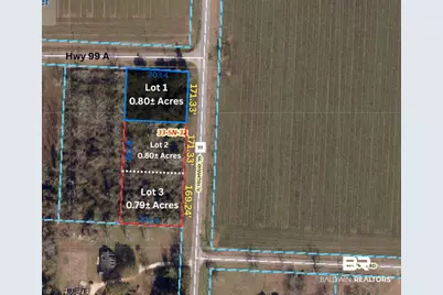 Lot 3 Highway 99, Walnut Hill, FL 32568 - Photo 2