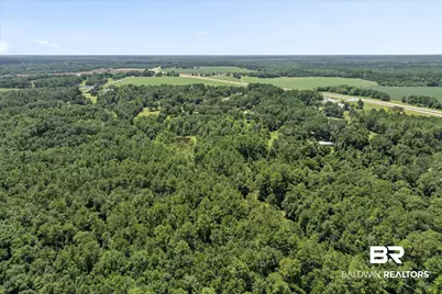 20769 Oakdale Drive, Robertsdale, AL 36567 - Photo 46