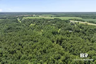 20769 Oakdale Dr, Robertsdale, AL 36567 - Photo 46