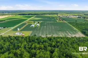 8794 Baptist Camp, Elberta, AL 36530 - Photo 86