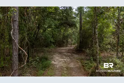 24958 County Road 71, Robertsdale, AL 36567 - Photo 8