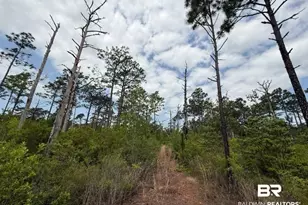 6589-C Aegean Dr, Milton, FL 32583 - Photo 1