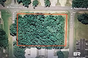 0 N Peachtree Ave, Foley, AL 36535 - Photo 1