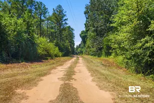 60998 Seales Rd, Stockton, AL 36579 - Photo 32