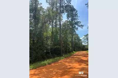 0 Highway 168, Century, FL 32535 - Photo 16