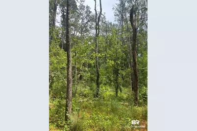0 Highway 168, Century, FL 32535 - Photo 6