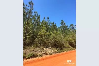 0 Highway 168, Century, FL 32535 - Photo 2