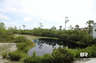 24193 Pepper Ln, Orange Beach, AL 36561 - Photo 22