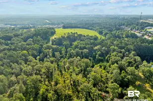 0 Stagecoach Rd, Spanish Fort, AL 36527 - Photo 1