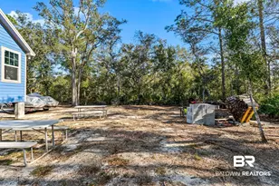 30794 Pine St, Perdido Beach, AL 36530 - Photo 54