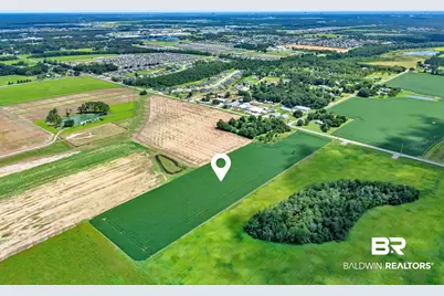 0 County Road 26, Foley, AL  - Photo 6