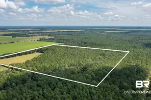 14000 Boros Rd, Elberta, AL 36530 - Photo 34
