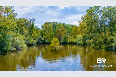 16401 Durban Fork Road, Bay Minette, AL 36507 - Photo 2