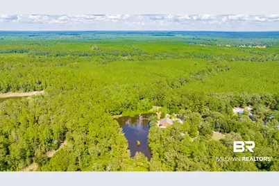 16401 Durban Fork Road, Bay Minette, AL 36507 - Photo 6