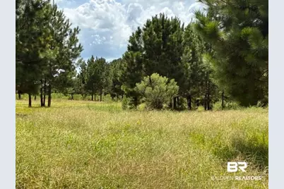 0 Boros Road #parcel C, Elberta, AL  - Photo 4