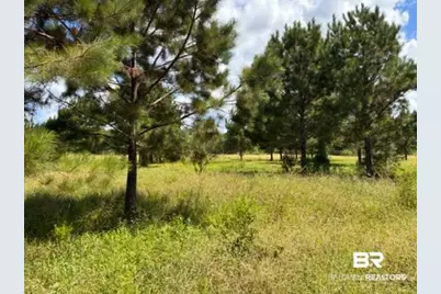 0 Boros Road, Elberta, AL  - Photo 1