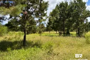 0 Boros Rd, Elberta, AL - Photo 1
