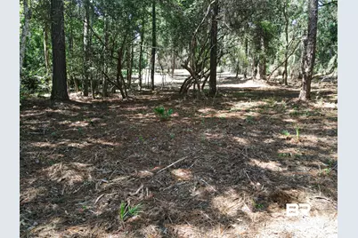 0 Neumann Dr, Elberta, AL 36530 - Photo 6