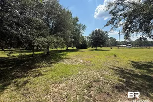 21389 Glass and Spivey Rd, Robertsdale, AL 36567 - Photo 4