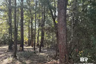 40703 Co Rd 39, Bay Minette, AL 36507 - Photo 1