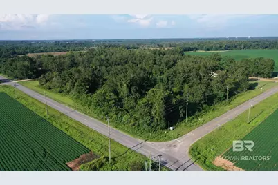 Lot 1 Highway 99 A, Walnut Hill, FL 32568 - Photo 6
