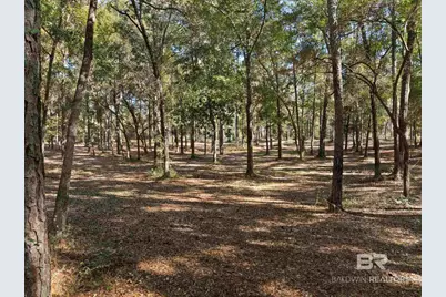 12800 Oak Tree Drive, Foley, AL 36535 - Photo 68