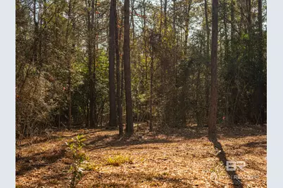 0 St Highway 225, Spanish Fort, AL 36527 - Photo 14