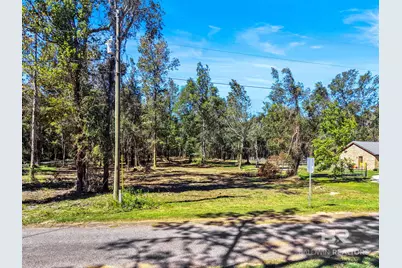 0 Old Brady Road, Bay Minette, AL 36507 - Photo 6