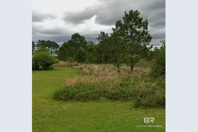 0 Wesley Pate Road, Elberta, AL 36530 - Photo 1